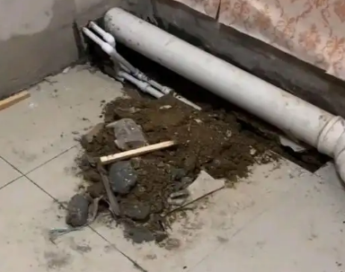 确山卫生间漏水检测哪家好