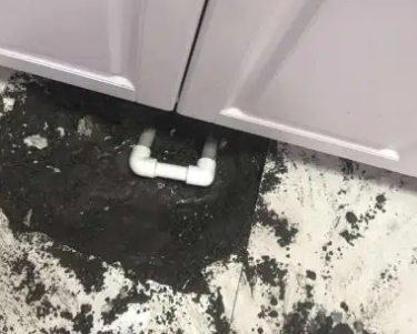 确山查漏水哪家好