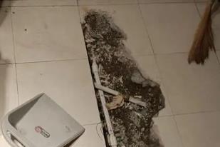 确山卫生间漏水检测电话